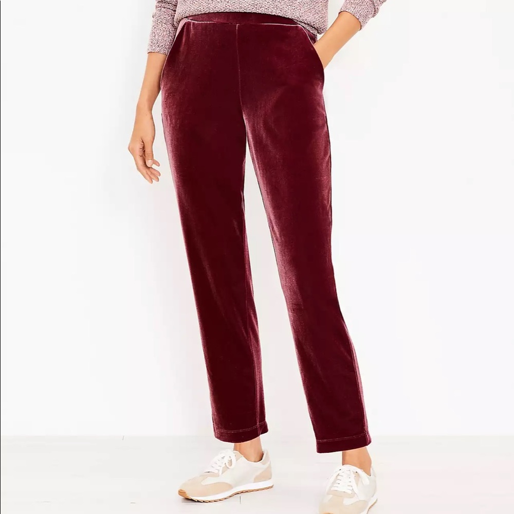 Velvet Pull On Slim Pants